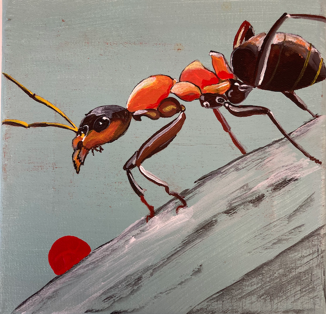 First slide image